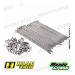 Kit raggi rinforzati HAAN WHEELS 18'' argento BETA cod. RH2510306