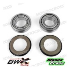 cuscinetti sterzo kit revisione BEARINGWORX GAS GAS, RIEJU cod. XSBK25003