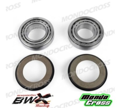 cuscinetti sterzo kit revisione BEARINGWORX GAS GAS, RIEJU cod. XSBK25003