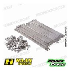 Kit raggi rinforzati HAAN WHEELS 18" argento KAWASAKI cod. RH252402