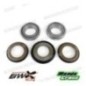 cuscinetti sterzo kit revisione BEARINGWORX FANTIC cod. XSBK70010