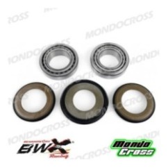 cuscinetti sterzo kit revisione BEARINGWORX FANTIC cod. XSBK70010