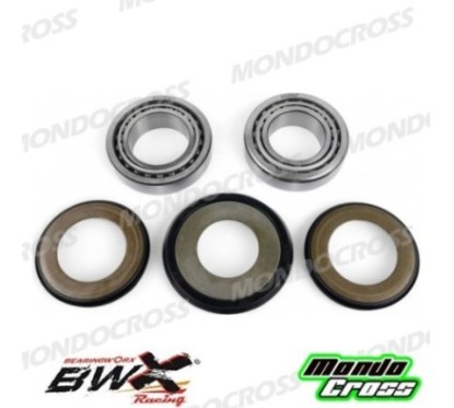 cuscinetti sterzo kit revisione BEARINGWORX FANTIC cod. XSBK70010