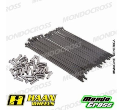 Kit raggi rinforzati HAAN WHEELS 19'' Nero HONDA cod. RH251401N