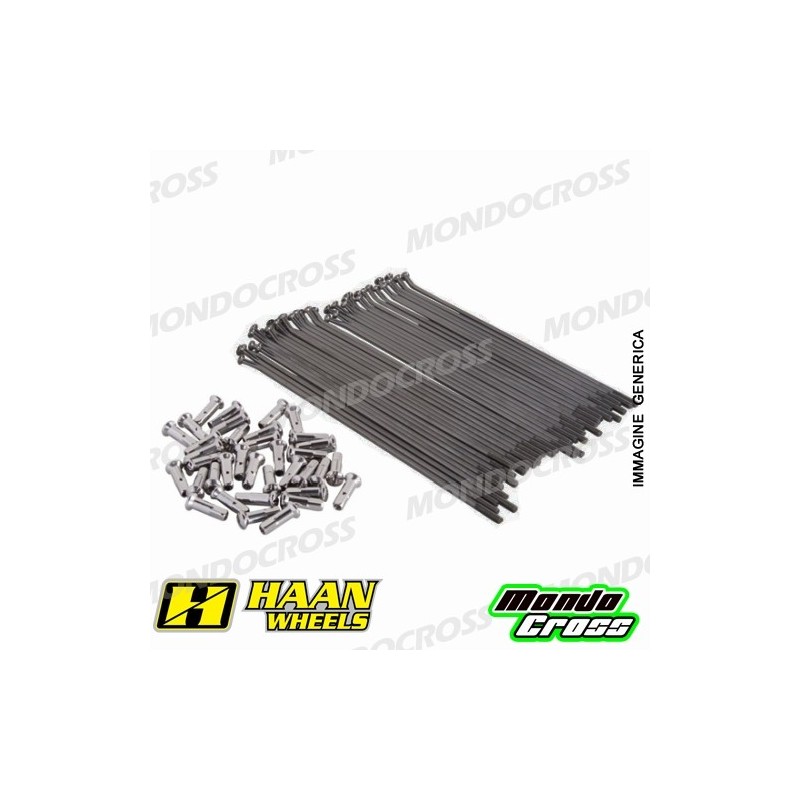 Kit raggi rinforzati HAAN WHEELS 21'' Nero GAS GAS, HUSABERG, HUSQVARNA, KTM cod. RH253301N