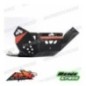 Paramotore AXP ADVENTURE KTM cod. AX1543