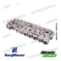 Catena distribuzione BORGWARNER BETA, TM cod. PX31.1900