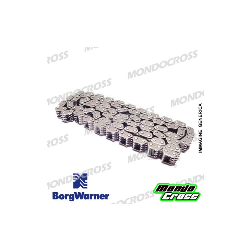 Catena distribuzione BORGWARNER BETA, TM cod. PX31.1900