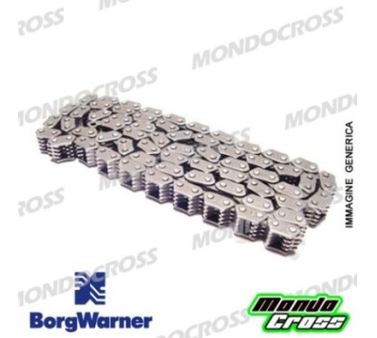 Catena distribuzione BORGWARNER BETA, TM cod. PX31.1900