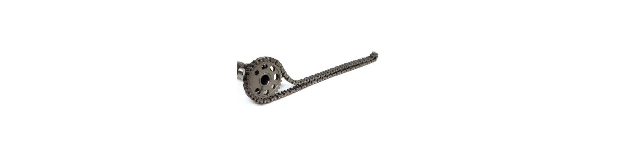 catena distribuzione